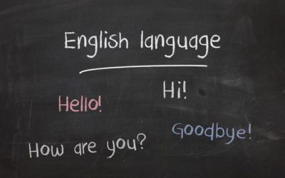 Session 1: Welcome to Busy Bee English