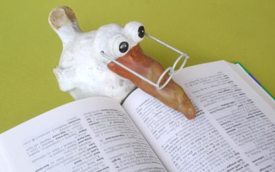 Session 4 – DOs and DON’ts