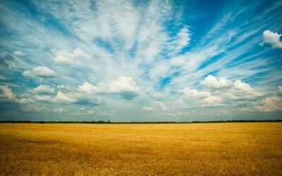Land Restitution – a serious moral question or a huge joke?