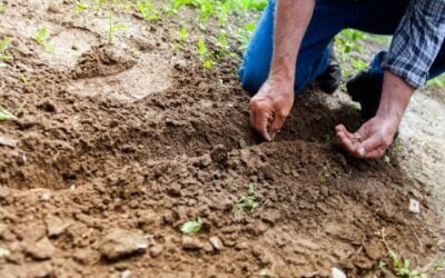 The Land Issue in SA is a complete farce.