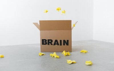 The Death of Common Sense – or what has social media done to our brains?