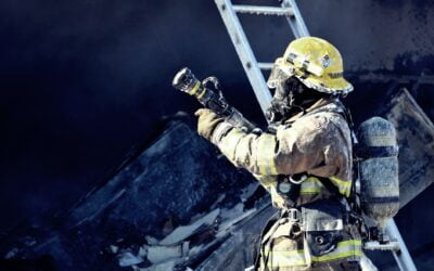 Why were the Houses of Parliament Torched?
