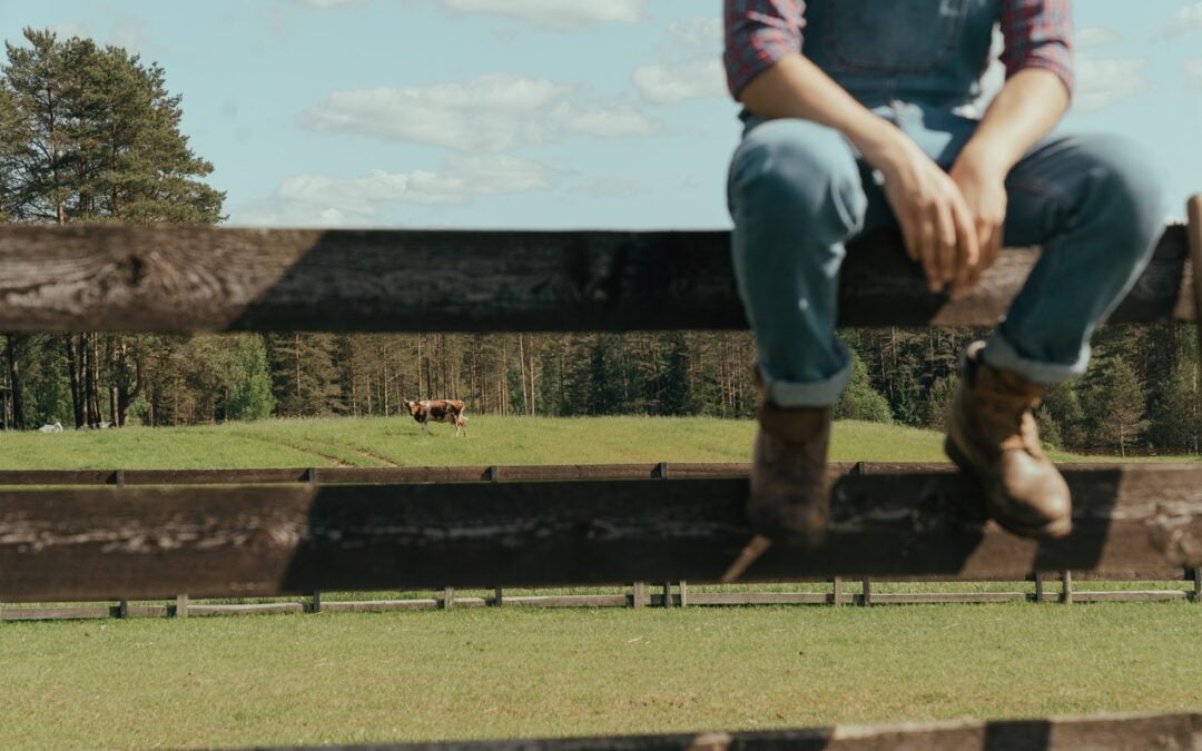 What a Strange, Strange World We live in. (apologies to Four Jacks and a Jill)