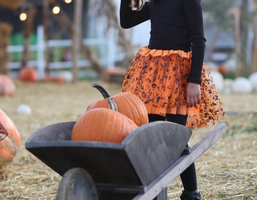 little girl standing next to wheelbarrow full of pumpkins