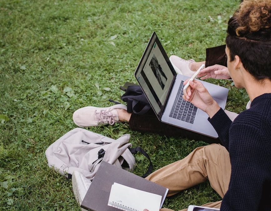 students studying on green grass field