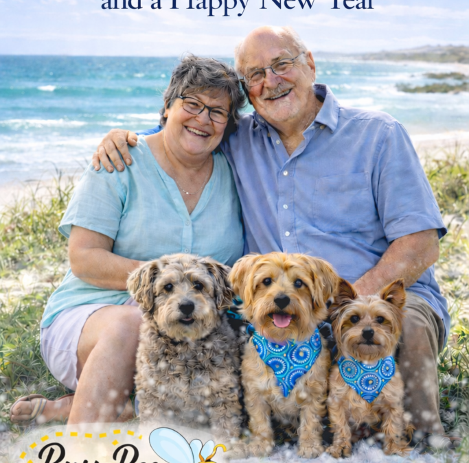 A NEW YEAR AWAITS US